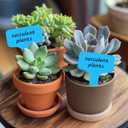 2 x Plant Labels 200 Pcs Yuanling T-Type Plastic Garden Tags Waterproof Plant Sign Stakes Nursery Garden Makers for Seedlings Flower Vegetables Herb Potted Belt Permanet Marker Pen (Blue)