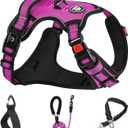 NESTROAD No Pull Dog Harness,Adjustable Oxford Dog Vest Harness with Leash,Reflective No-Choke Pet Harness with Easy Control Soft Handle for Small Dogs(Small,Fuchsia Pink) (Sneck 11-15" chest 15-21")