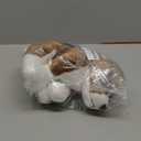 TAMMYFLYFLY Pugsly Pug Plush Stuffed Animal Puppy Dog, 12 inches (Balthezar Beagle)