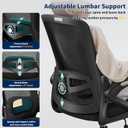 Ergonomic Office Chair, Desk Chair with Adjustable Lumbar Support, Breathable Mesh Comfy Computer Chairs with Flip-up Armrests Executive Task Chair for Adults Home Office(Black)