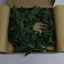 Ling's moment Italian Ruscus Greenery, 5.9ft Artificial Silk Real Touch Willow Leaf Garland, Fake Wispy Rustic Vine Stem Swag for Table Centerpieces Wedding Arch Decor, Dark Green