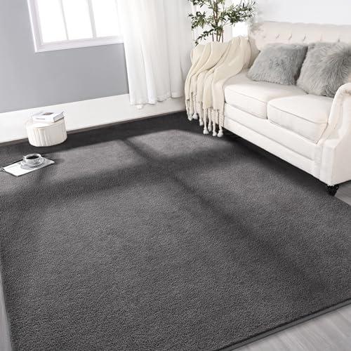 Gifeas Large Ultra Soft Modern Area Rugs for Living Room Bedroom, 4x6 Feet Dark Grey Thickened Memory Foam Indoor Solid Minimalist Carpets, Non-Slip Comfy Rug for Boys Girls Nursery Room Home Decor