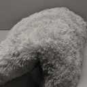 Floralux 4x6 Shag Rug, Tie-Dye Light Grey, Modern Fluffy Rugs for Bedroom, Soft Plush Carpet for Living Room, Nursery Kids Room, Home Dorm Decor Aesthetic, Area Rugs