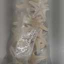 Super Z Outlet Starfish Natural Knobby Mini Beach Sea Stars for Wedding Seashell Crafts (12 Piece)