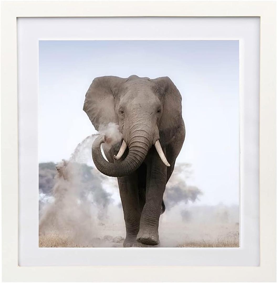 16x16 Diamond Painting Picture Frames 18x18 Diamond Art Frames Wood ,Display Pictures16x16 Inch 40x40 cm with Mat or 18x18 Inch45x45cm Without Mat, Diamond Embroidery Photo Frame Diamond Art