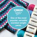 Caron Simply Soft Peach Yarn - 3 Pack of 170.1g/6oz - 100% Acrylic - #4 Worsted (Medium) - 315 Yards - Knitting/Crochet