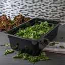 Carlisle FoodService Products 10202B03 StorPlus Full Size Food Pan, Polycarbonate, 6" Deep, Black