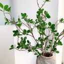 Melorca&Guilla Artificial Plants,6PCS 43.3" Green Faux Branches for Vase,Artificial Plants for Shop Garden Office Home Dcor