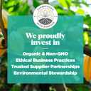 Navitas Organics Cacao Nibs  Sweetened Dark Chocolate Crunch  Antioxidants, Minerals, Fiber  For Trail Mix, Baking & More  USDA Organic, Fairtrade, Non GMO, Gluten Free, Non-alkalized (8oz. Bag 57 Servings) (8 Ounce (Pack of 1))