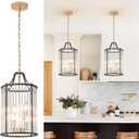 Black Gold Pendant Light Modern Glass Small 4-Light Pendant Chandelier 9.8'' for Kitchen Island Industrial Cage Ceiling Hanging Lighting for Dining Room Entryway Hallway