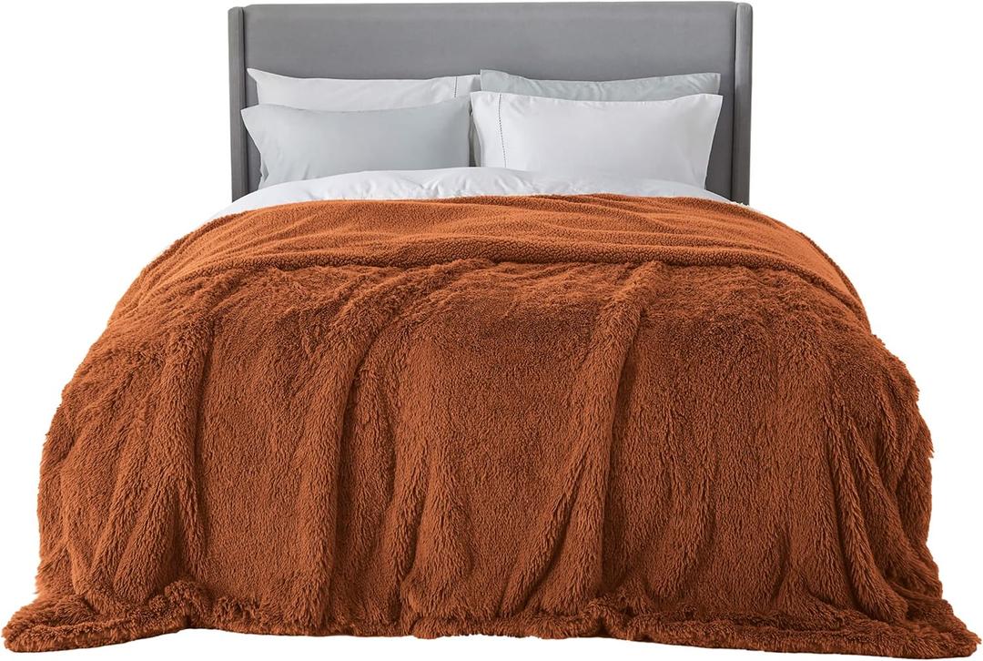 Bedsure Fluffy Burnt Orange Blankets Queen Size for Bed, Thick Sherpa Faux Fur Fleece Fuzzy Plush Winter Warm Soft Full Queen Blankets, Bedroom Decor Orange Gifts Cozy Gifts for Women Men, 90x90