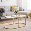 Coffee Table Gold Glass Coffee Table for Living Room, Oval Table Center Table with Ribbed Glass Top and Sturdy Metal Frame,Modern Glass Accent Tables for Bedroom Home Office, 1-Tier