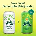 OLIPOP Prebiotic Soda Pop, Ridge Rush, Pantry Pack Packed with Prebiotics, Fiber, and Botanicals, Gluten Free, GMO Free, 12oz (12-Cans) (EXP 11/13/26)