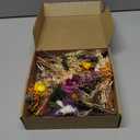 12PCS Fall Dried Flowers Bouquet for Vase Various Dried Wildflowers with Stems Mini Handmade Wildflowers Natural Real Flowers Bulk Flowers for Crafts DIY Wedding Decor (Fall,Burnt Orange Se