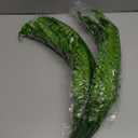 UV Resistant Lifelike Artificial Boston Fern - 2024 New Faux Boston Ferns Outdoor Planter Large, Realistic Fake Feen Hanging Silk Fern Stems Indoor Basket Plant Urn Fillers Front Porch (2, Green)