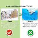 Ant Farm Castle - Large Viewing Area - Care for Live Ants - Ant Colony Observation Kits with Sand Habitat - Educational Science Gifts for Boys, Girls - Ant Farms for Kids, Adults, Student (Yellow)