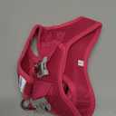 rabbitgoo Dog Harness Small Sized and Leash Set, Step in Soft Light Puppy Vest, Breathable Mesh Pet Harness, Reflective for Safe Easy Walking, Rose Red M (M (Chest: 16 - 18.5"))