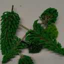 Skylety 35 Pieces Model Trees 6.3-1.2 Inch Mixed Miniature Trees Diorama Supplies Fake Plants Train Scenery Landscape Christmas Village Architecture DIY Crafts(Mixed Green,Multiple Tree)