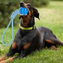 GLURUITE Rope Ball Dog Toy 12.59 Inches Chewing Ball for Molar Teeth Cleaning Interactive Outdoor Training Tug of War Toy for Small Medium and Larger Breeds Blue