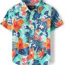 The Children's Place Baby Boys' and Toddler Poplin Short Sleeve Button Down Shirt, Size: 5T