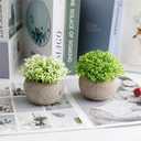 THE BLOOM TIMES 2 Pcs Fake Plants for Bathroom/Home Office Decor, Small Artificial Faux Greenery for House Decorations (Potted Plants)