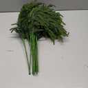 Jutom Christmas Norfolk Pine Branches, Artificial Norfolk Branch Faux Plants Greenery Stem Pine Picks for Christmas Vase DIY Crafts Centerpiece Garland Wreath Home Decor (12 Pcs,18 Inches)