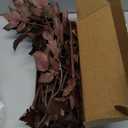 Artificial Cimicifuga Plant Leaf Spray Faux Cimicifuga Stems Artificial Plants Fake Leaves Faux Branchs Fake Leafs Fall Decor Stems for Vases Wedding Garden Holiday Ornaments (3 Pack,21 Inch) (Deep Purplered)