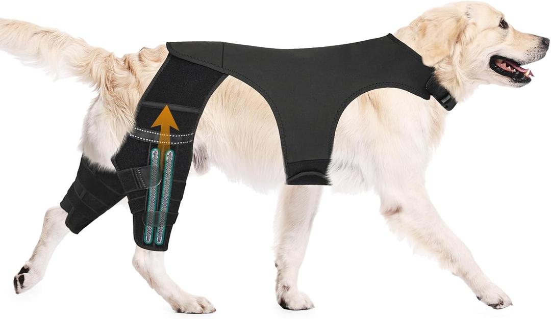 Dog Knee Brace for Hind Legs ACL Support - Adjustable Double Dog Leg Brace for Joint Pain Relief, Luxating Patella, Arthritis Recovery, Secure Fit Orthopedic Wrap for Small Medium Large Dogs (XL)