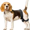 CHAMIN Dog Hip Brace  Support Harness for Hip Dysplasia, Joint Pain Relief, Prevents Hip Joint Issues, Orthopedic Support for Dogs(Medium)