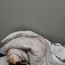 Merryword Black White Marble Comforter Set Queen Size 8 Pieces Bed in a Bag Gold Metallic Marble Design Bedding with 1 Comforter, 4 Pillowcases, 1 Flat Sheet, 1 Fitted Sheet, 1 Cushion Cover