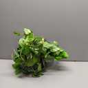 Fake Pothos Hanging Plants - 33" Set of 2 Artificial Silk Ivy Vines with Pots, Realistic Faux Greenery for Indoor Home Office Bathroom Decor, Low Maintenance Hanging Plant Decoration - Golden Green
