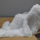 Zentavio Area Rugs for Living Room Small Carpet for Bedroom 3x5 Bedside Washable Soft Fluffy Shag Aesthetic Plush High Pile Throw Rug for Nursery Kids Room Dorm Room White