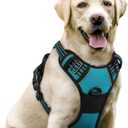 rabbitgoo Dog Harness No Pull with 2 Leash Clips, Adjustable Soft Padded, Reflective Oxford No Choke Pet Vest with Easy Control Handle for Large Dogs, Teal, L