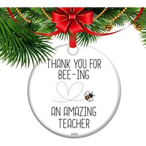 Thank You for Being an Amazing Teacher Ornament Christmas Teacher Gift Appreciation Present Ceramic Apple Keepsake School Decor (C12)