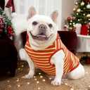 French Bulldog Clothes Halloween Costumes Shirts for Medium Dogs, Frenchie Halloween Dog Costume Tank Top Summer Shirt Hoodie Sweatshirt Christmas Birthday Party,Red Bull,2XL (XX-Large)