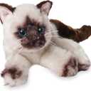 Bearington Cleo Siamese Cat Plush Toy - 15" Realistic Stuffed Cat with Soft Fur, Weighted Paws and Lifelike Details - Cuddly Soft Plushies for Girls, Kids, and Kitten Lovers - Gift for Play or Display