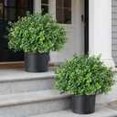 Set of 2 Artificial Boxwood Topiary Trees for Front Door - Faux Realistic Greenery Potted Plants, Fake Outdoor UV-Resistant Bushes with Pots for Porch,Farmhouse,Home,Garden Decor