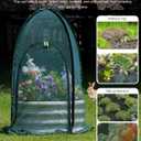 Pop up Gardening Net Cover,29.5x29.5x39.4 inches Pack of 2,Pest Guard Cover for Vegetables Fruits Durable Plant Gardening Net, Pop-Up Chicken Pen for Small Animals Outdoor Run and Pet Enclosure