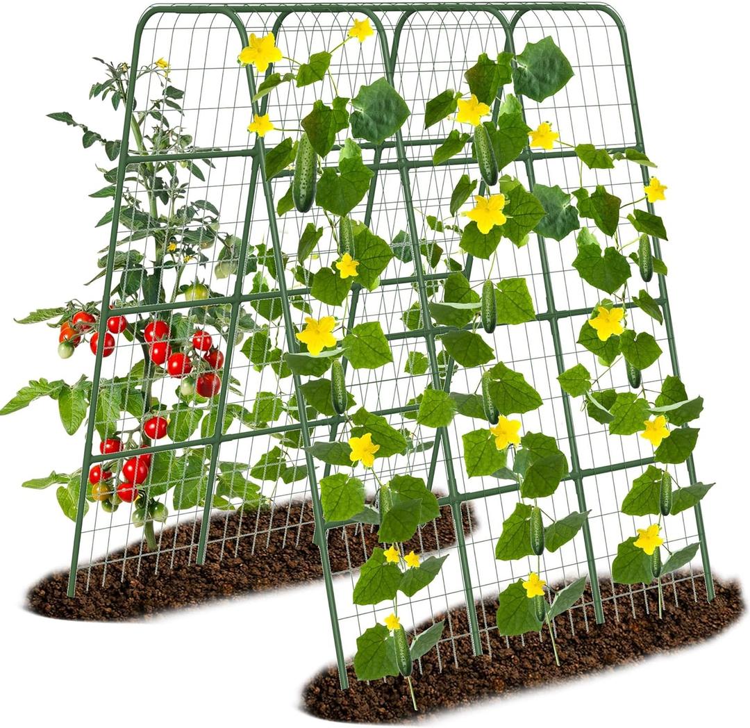 Thicken Cucumber Trellis for Raised Bed, 63"x47.44" Garden Trelli for Climbing Plants Outdoor with Climbing Net, Metal Arch Vegetables Trellis for Cucumbers, Grapes, Tomatoes, Vines,Green