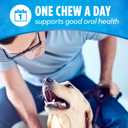 DentaLife Daily Oral Care Dog Treats for Small and Medium Dogs, Chewy Dental Treat to Freshen Breath and Fight Tartar, Chicken Flavor - 40 ct. Pouch (EXP 11/01/26)