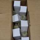 Candelabra Flame Tip Frosted, Frosted Flame Tip Chandelier Light Bulb, CA10 60W E12 Base, Decorative Incandescent Light Bulbs 120V for Chandeliers, Ceiling Fan Lights, Wall Sconces, Dimmable (Pack of 6)