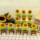 2 x Emotional Support Crochet Sunflower Gifts for Women, Positive Gifts for Women, Men