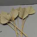 Sggvecsy Boho Dried Palm Leaves - 10 Pieces, 14.2'' Natural Palm Spears and Fans for Flower Bouquet, Boho Wedding, Home Party, Kitchen Vase, Farmhouse Table Arrangements and Anniversary Decor