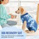 Lukovee Recovery Suit for Dogs, Onesie Surgery Recovery Suit for Female Male Dogs, Abdominal Wounds Cone E-Collar Alternative Prevent Licking Spay Recovery Suit (TBL,L)