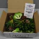 Succulents Plants Artificial 28 Pcs Realistic Premium Fake Succulents Faux for Indoor Outdoor DIY Home Office Decor