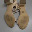 DREAM PAIRS Women's Open Toe Ankle Strap Low Block Chunky Heels Sandals Party Dress Pumps Shoes (8.5)