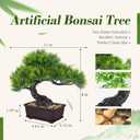 Der Rose 2Pcs Small Fake Plants Artificial Bonsai Tree Set Ficus and Cedar for Office Desk Shelf Room Home Zen Decor Indoor