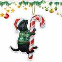 Black Lab Hugging Candy Cane Ornament 2D Flat Acrylic Ornament - Christmas Tree Decoration, Gifts for Dog Lovers 2025
