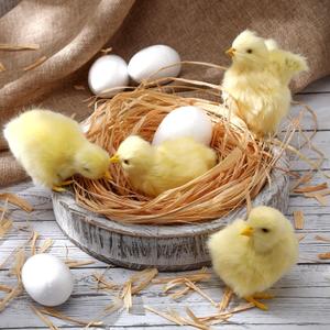 9 Pcs Spring Easter Chicken Decoration Set 4 Pcs Realistic Plush Little Chick Figurine Fluffy Chicks 4 Pcs Craft Foam Egg 1 Bag Yellow Easter Grass for Photography DIY Crafting Easter Hunt Party