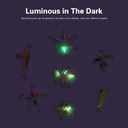 Ice Fishing Jigs,Ice Fishing Lures Kit in Tackle Box,Crappie Jig Heads for Winter Ice Jigging (14pcs/15pcs/16pcs/31pcs)